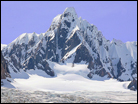 Fox Glacier