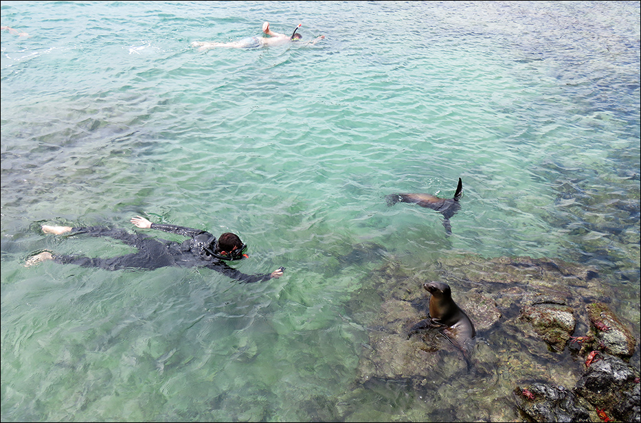 Galapagos Islands