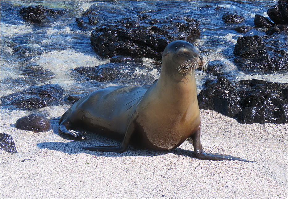 Galapagos Islands