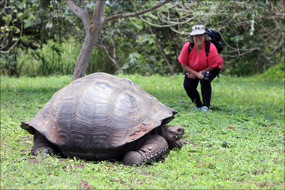 Galapagos Islands