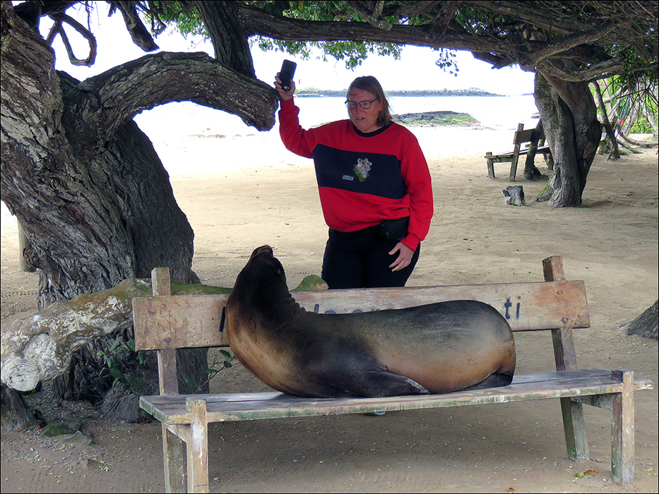 Galapagos Islands