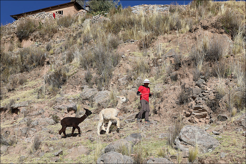 Peru