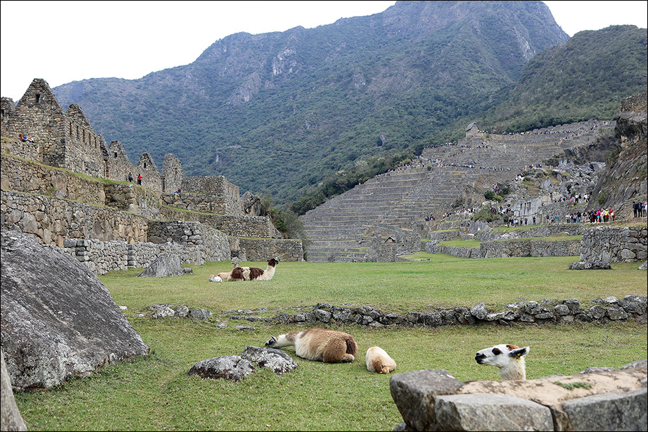 Peru