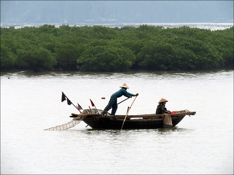 Vietnam