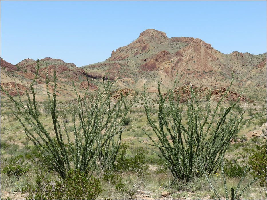 Big Bend National Park