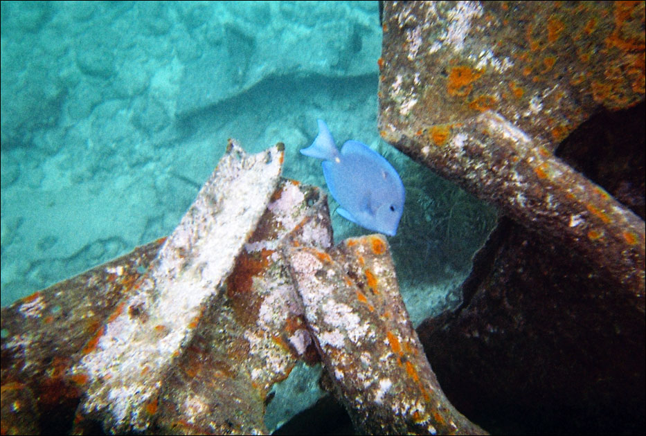 Biscayne National Park