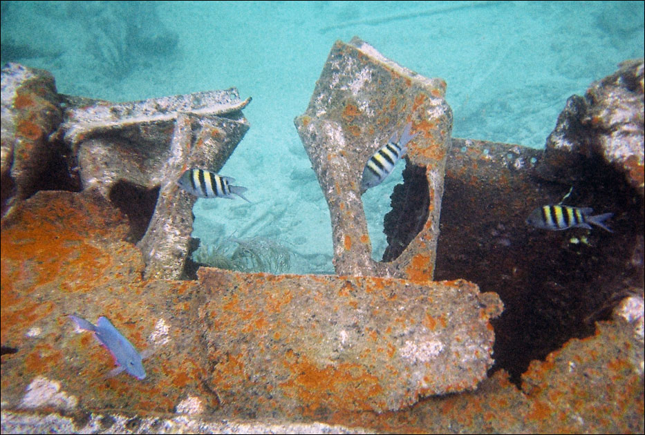 Biscayne National Park