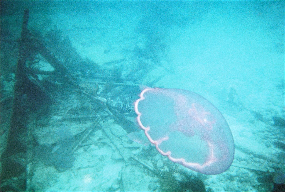 Biscayne National Park