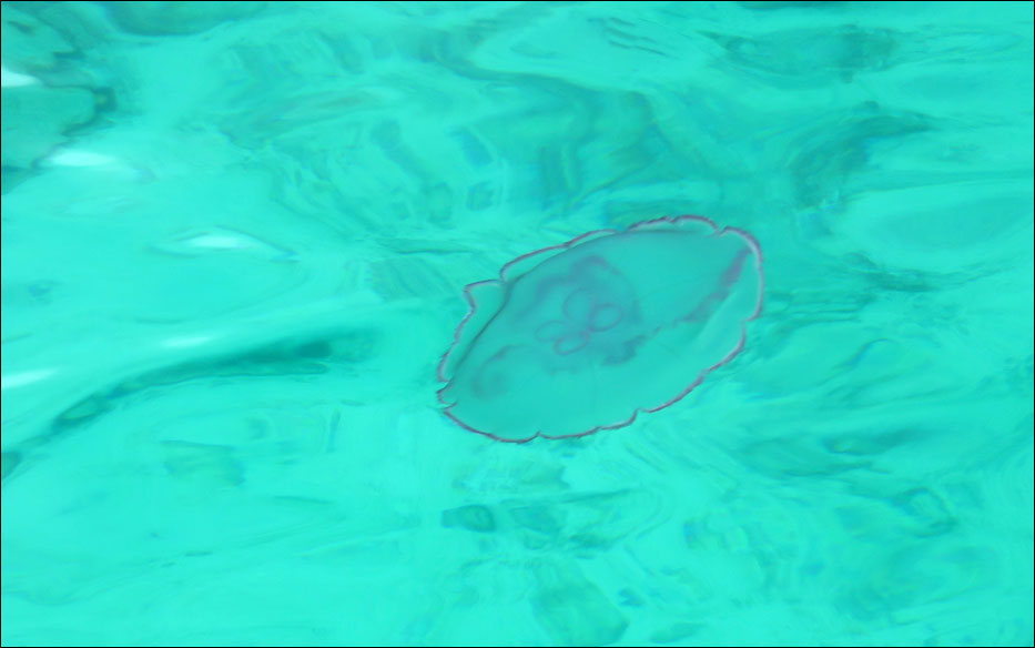 Biscayne National Park