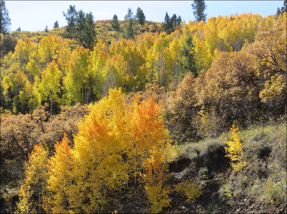 Black Canyon of the Gunnison National Park