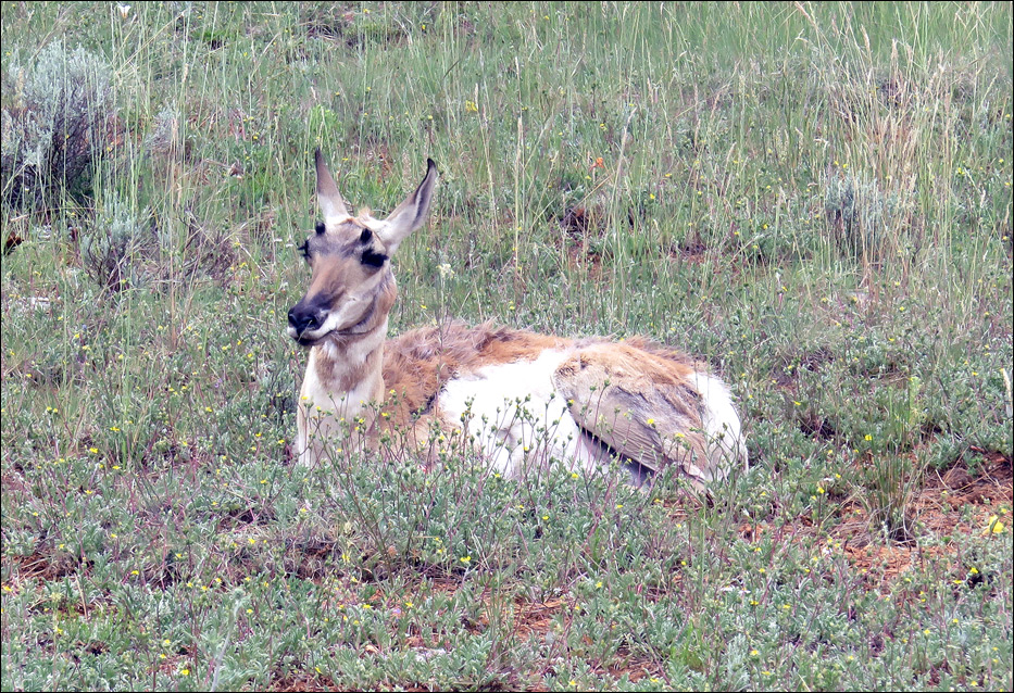 Bryce Canyon National Park