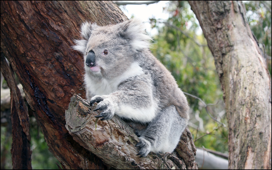 Melbourne, Australia