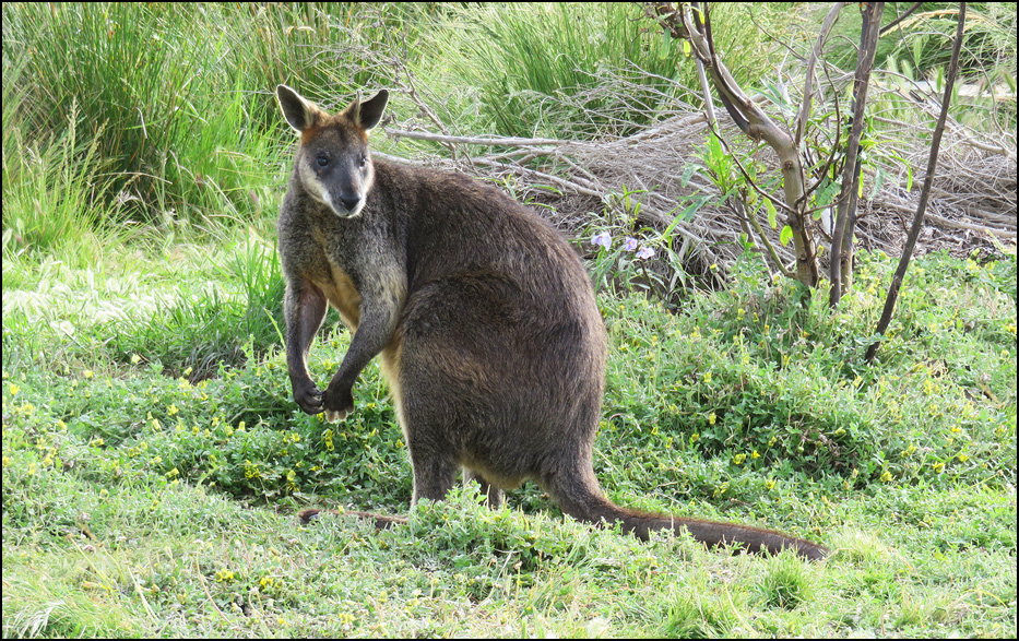 Melbourne, Australia