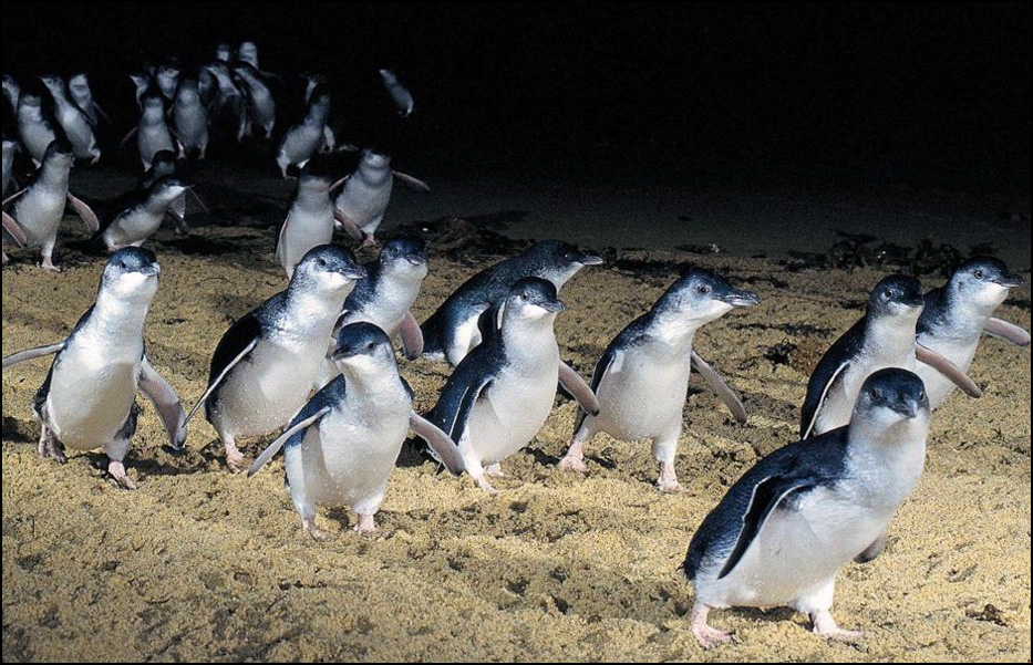 Melbourne, Australia