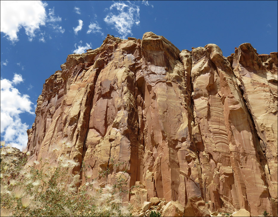 Capital Reef National Park