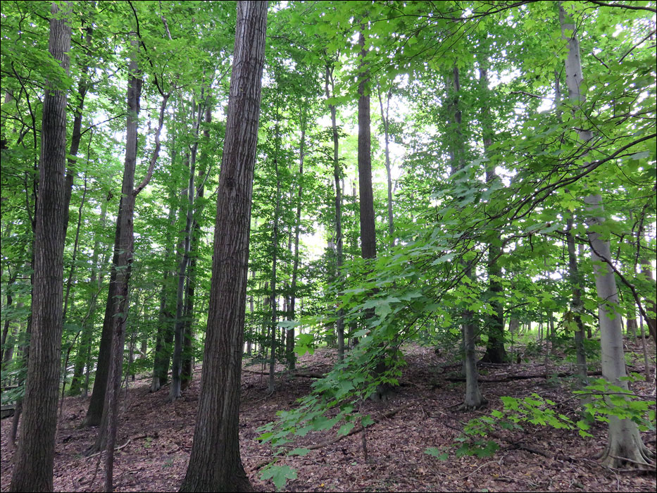 Cuyahoga Valley National Park