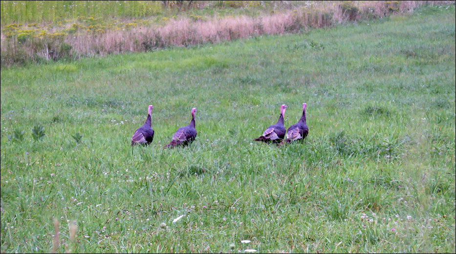 Cuyahoga Valley National Park