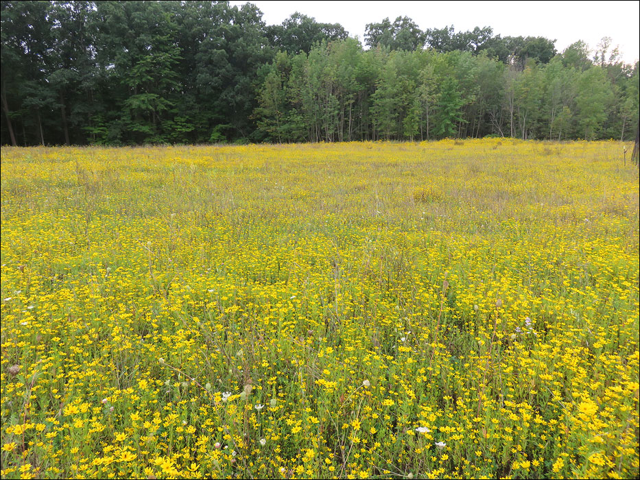 Cuyahoga Valley National Park
