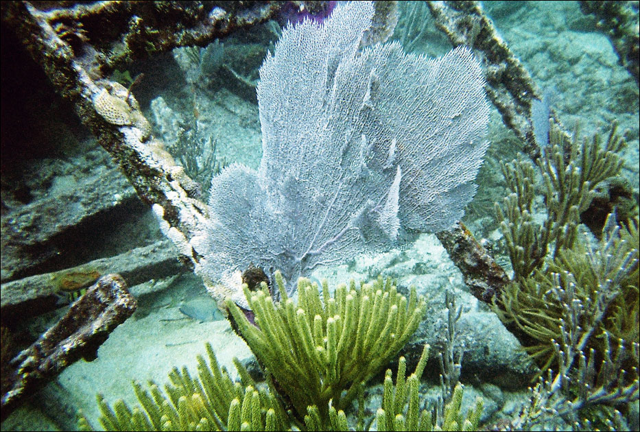 Dry Tortugas National Park
