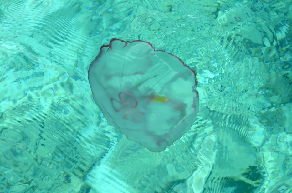 Dry Tortugas National Park