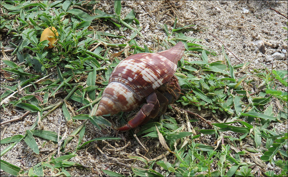 Biscayne National Park