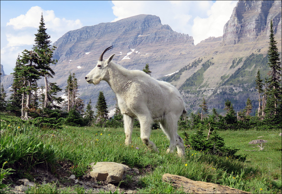 Glacier National Park