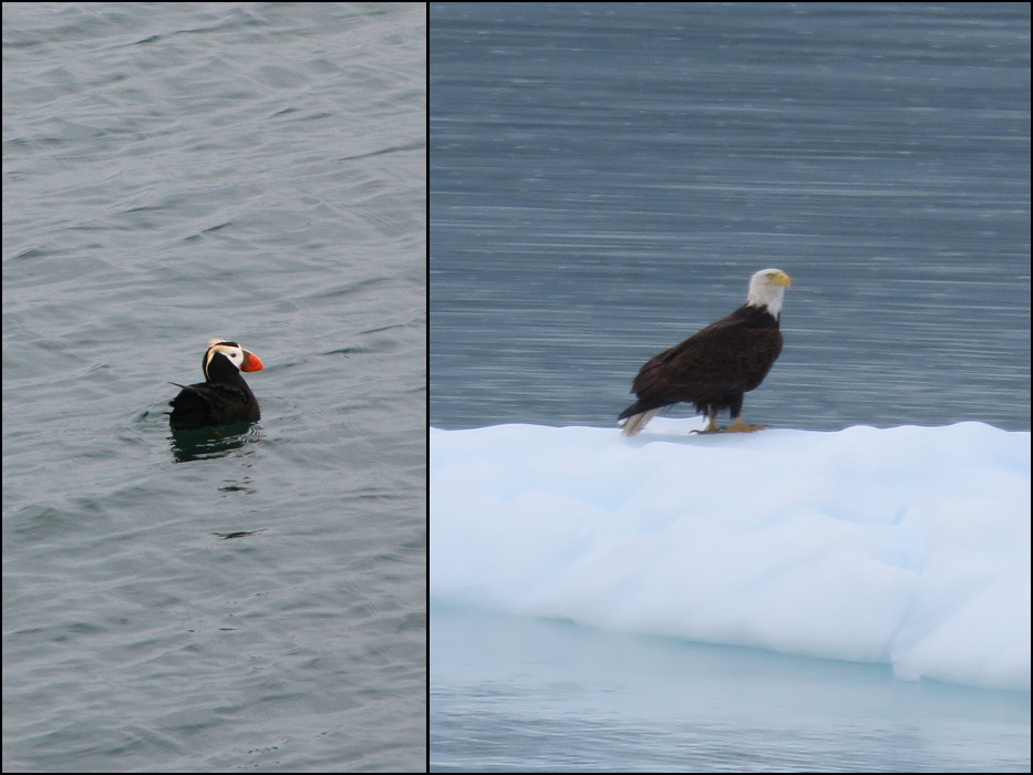Glacier Bay National Park
