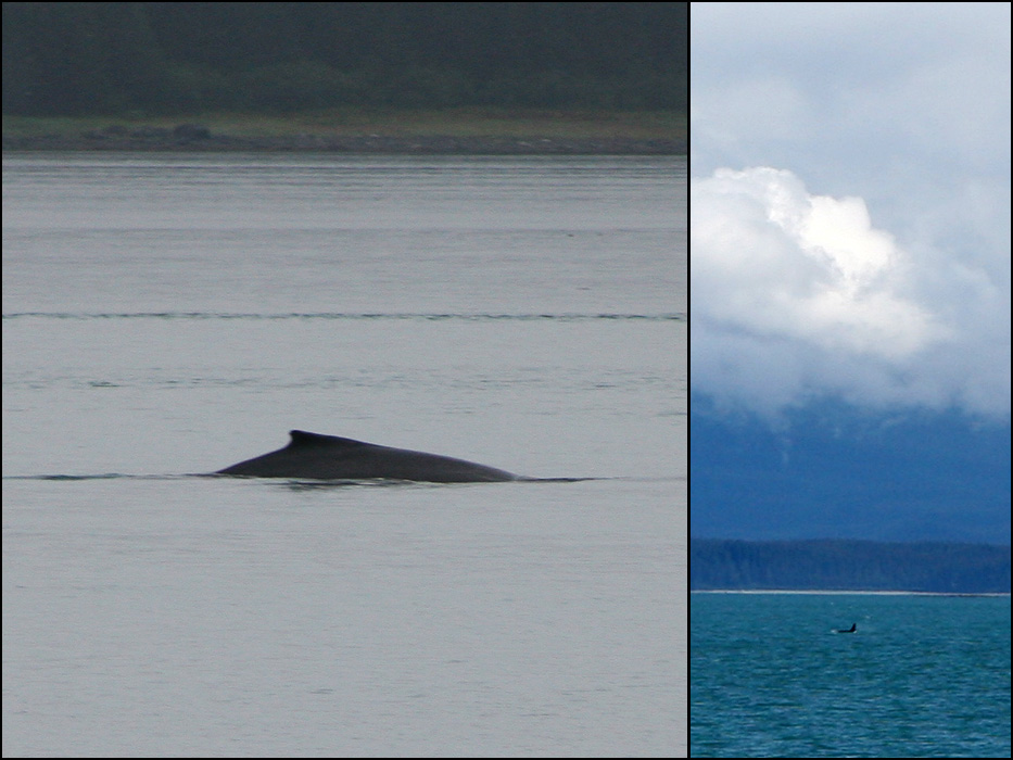 Glacier Bay National Park