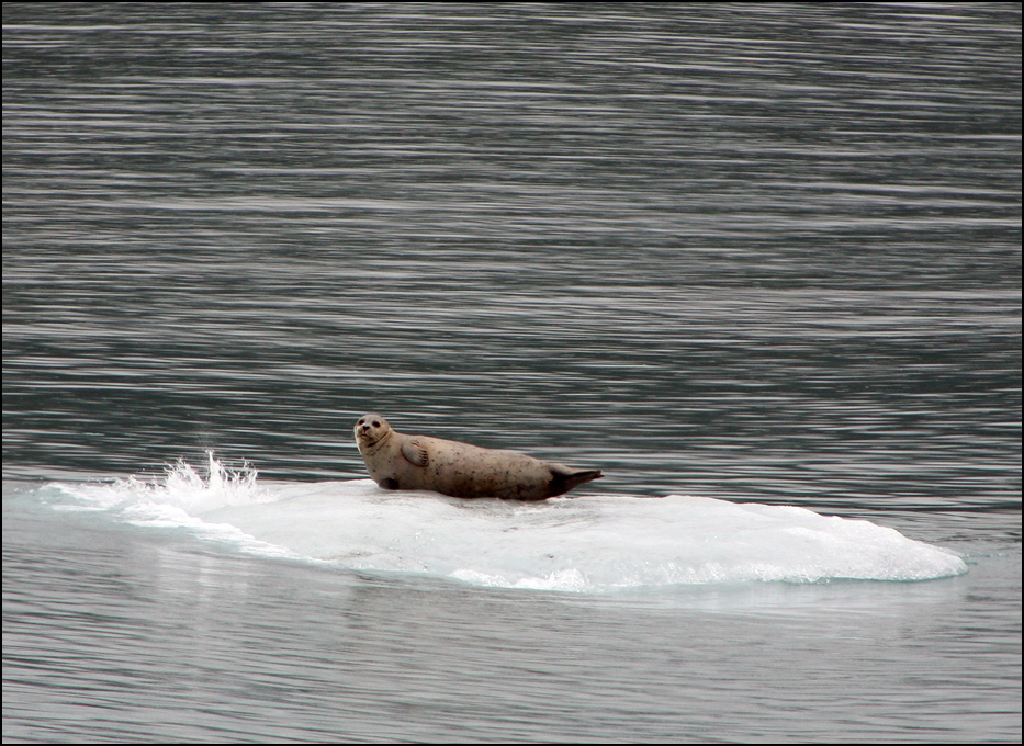 Glacier Bay National Park