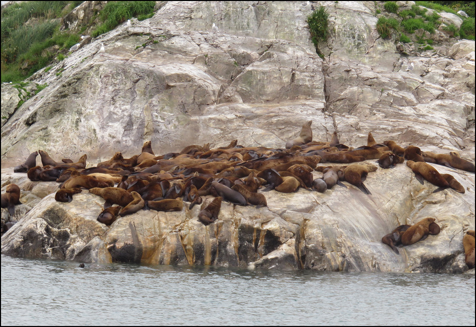 Glacier Bay National Park