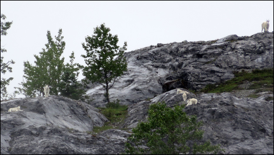 Glacier Bay National Park