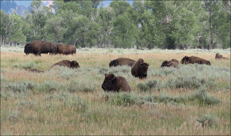 Grand Teton National Park