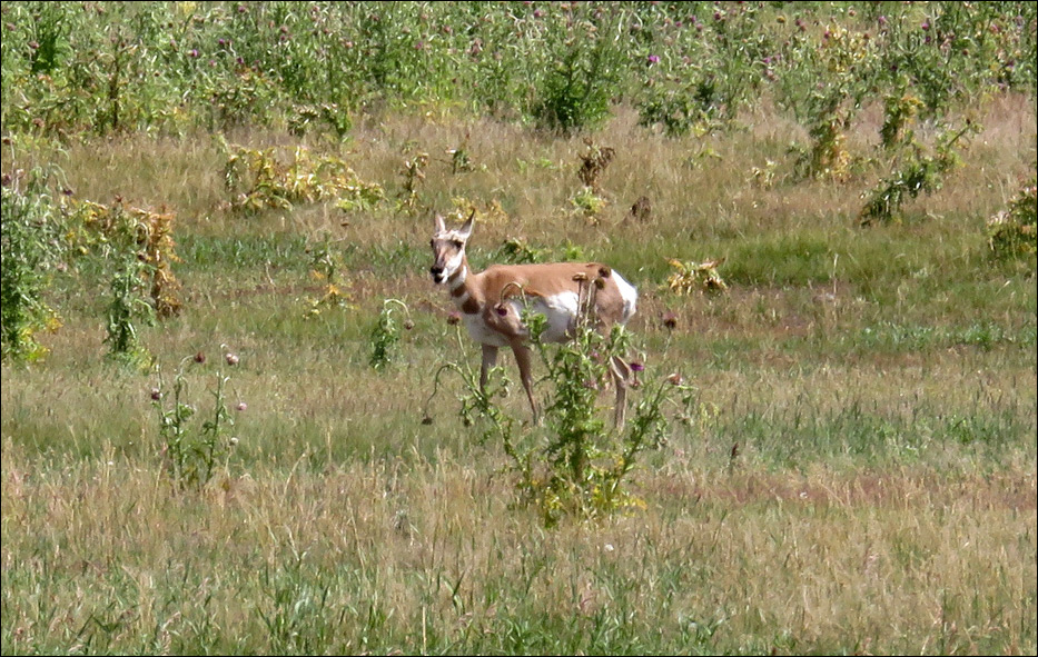 Grand Teton National Park