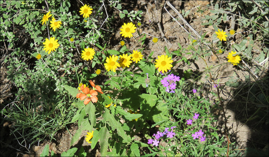 Guadalupe Mountains National Park