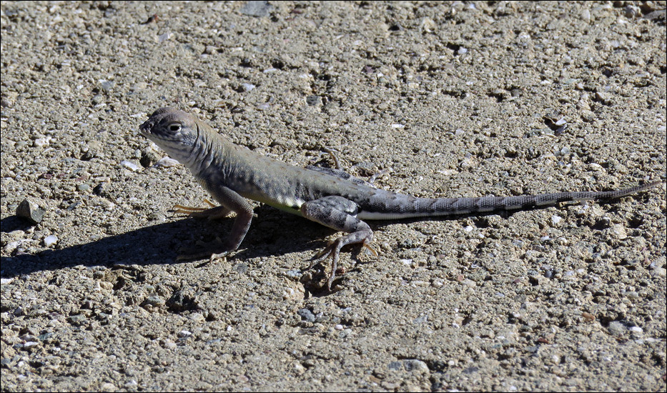 Guadalupe Mountains National Park