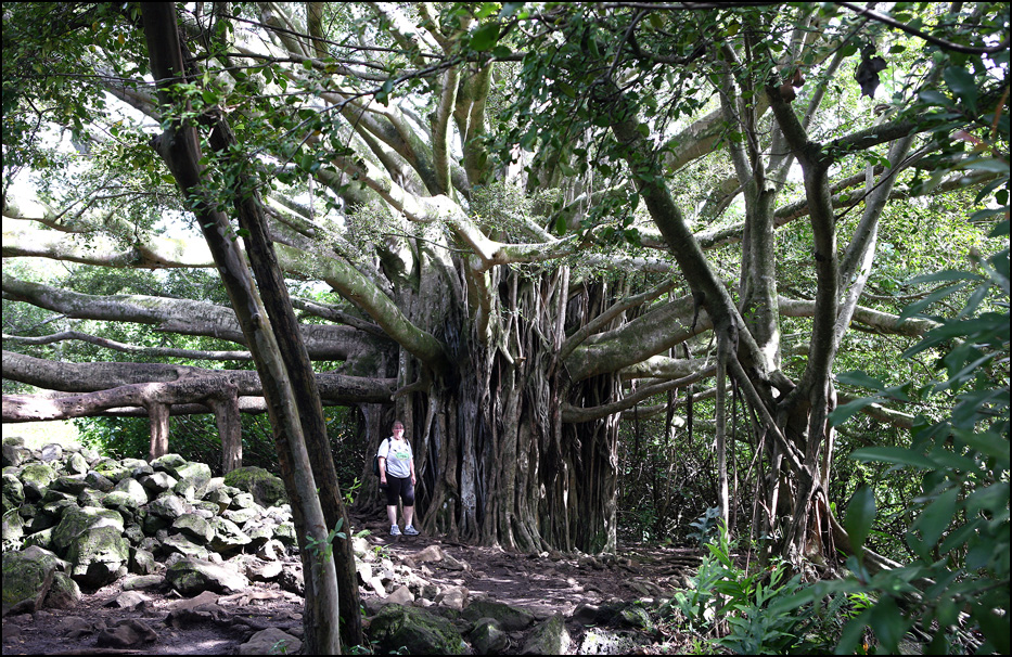 Haleakala National Park