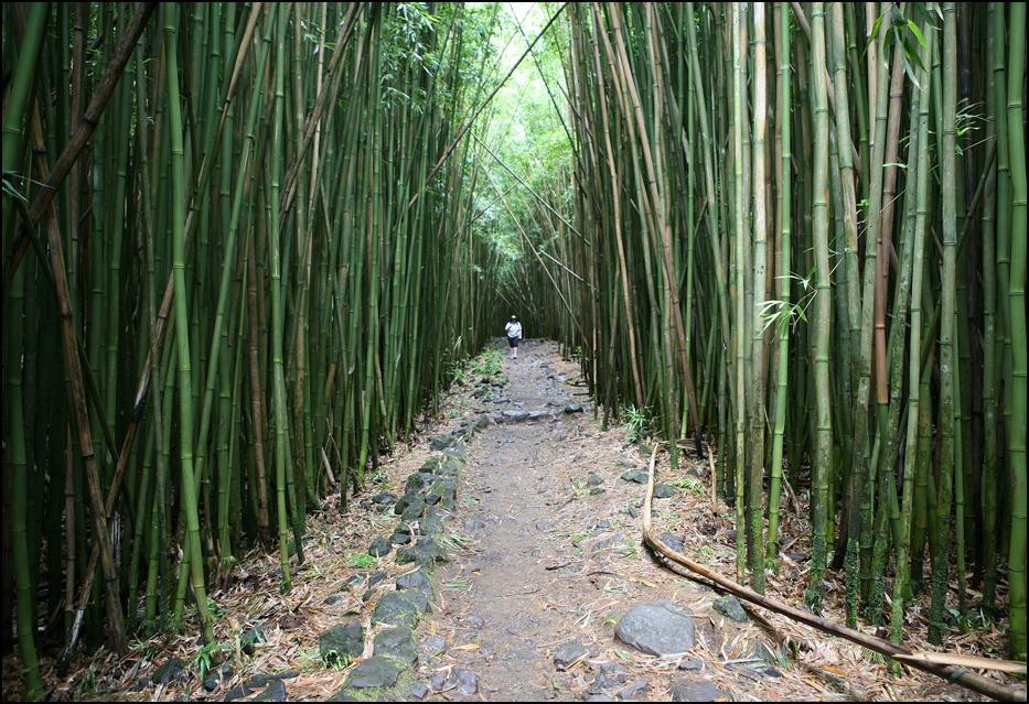 Haleakala National Park