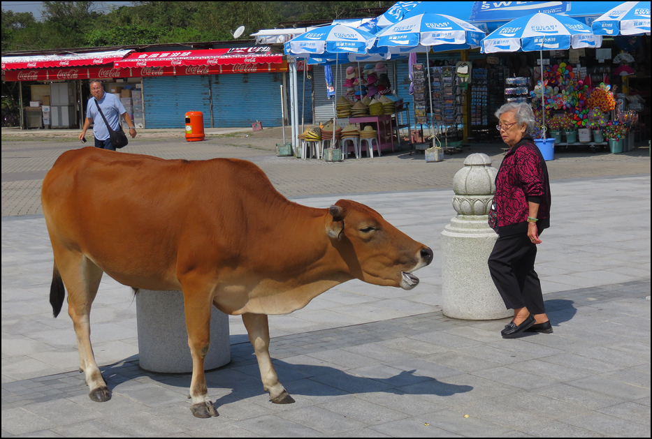 Hong Kong