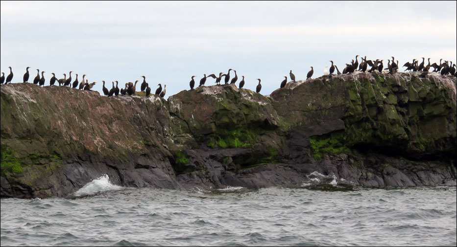 Isle Royale National Park