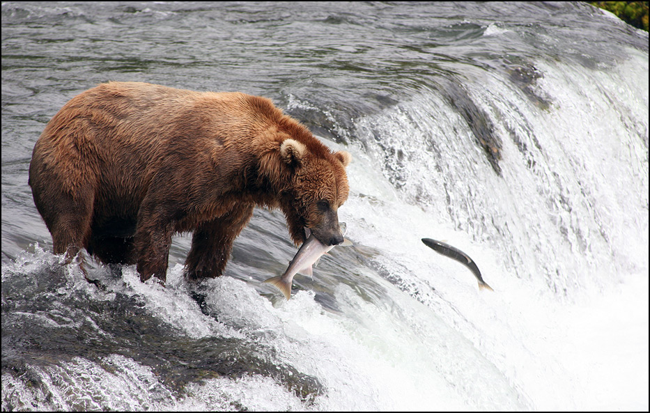Katmai National Park
