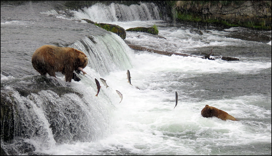 Katmai National Park