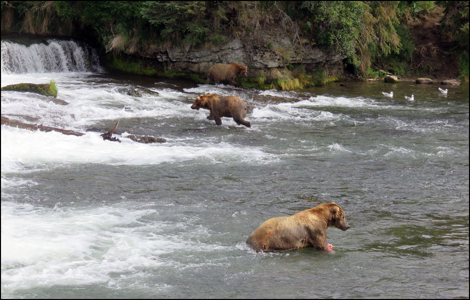 Katmai National Park