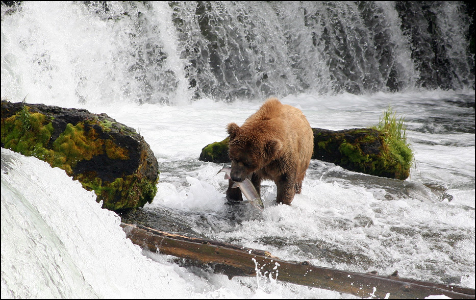 Katmai National Park