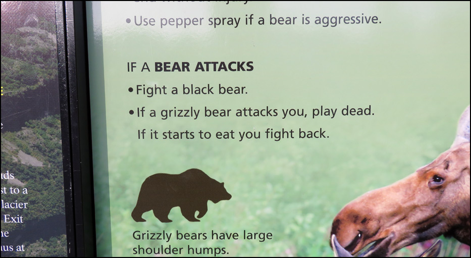 Kenai Fjords National Park