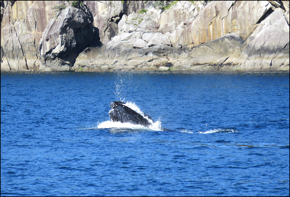 Kenai Fjords National Park
