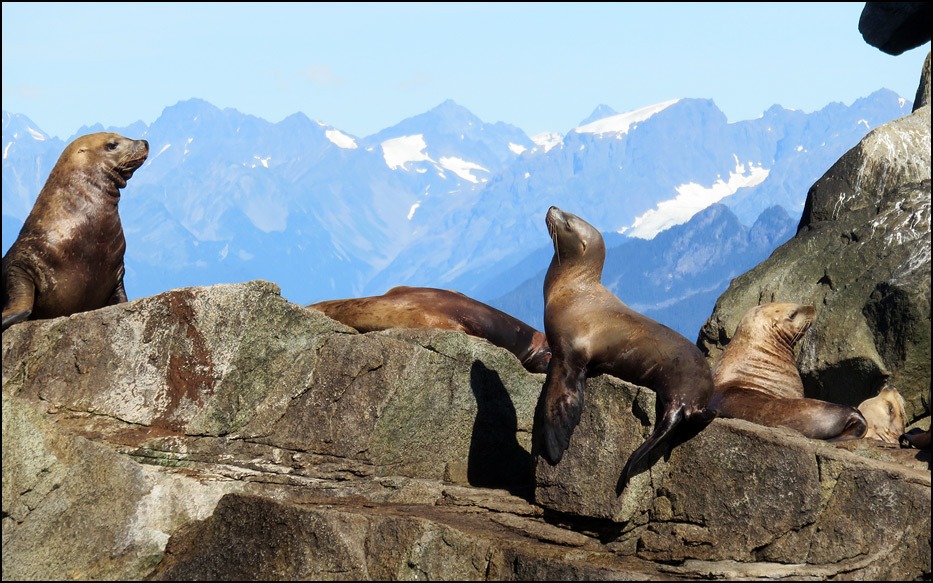 Kenai Fjords National Park