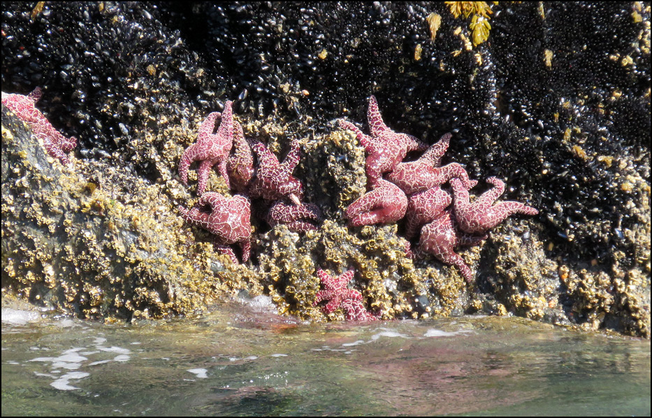 Kenai Fjords National Park