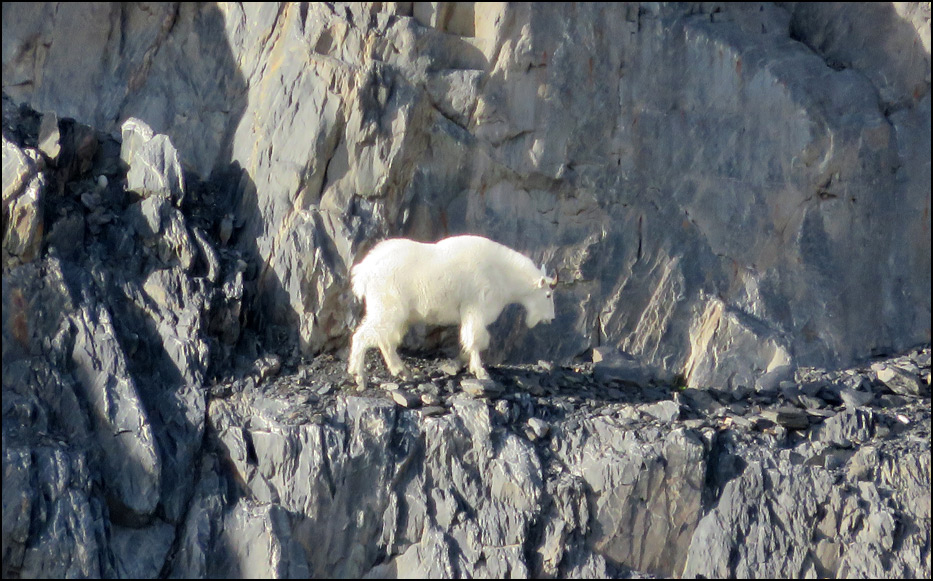 Kenai Fjords National Park