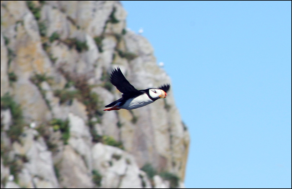 Kenai Fjords National Park
