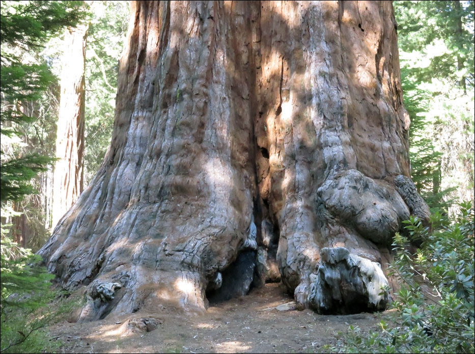 Kings Canyon National Park